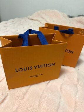 Louis Vuitton Paper Bag 2pcs